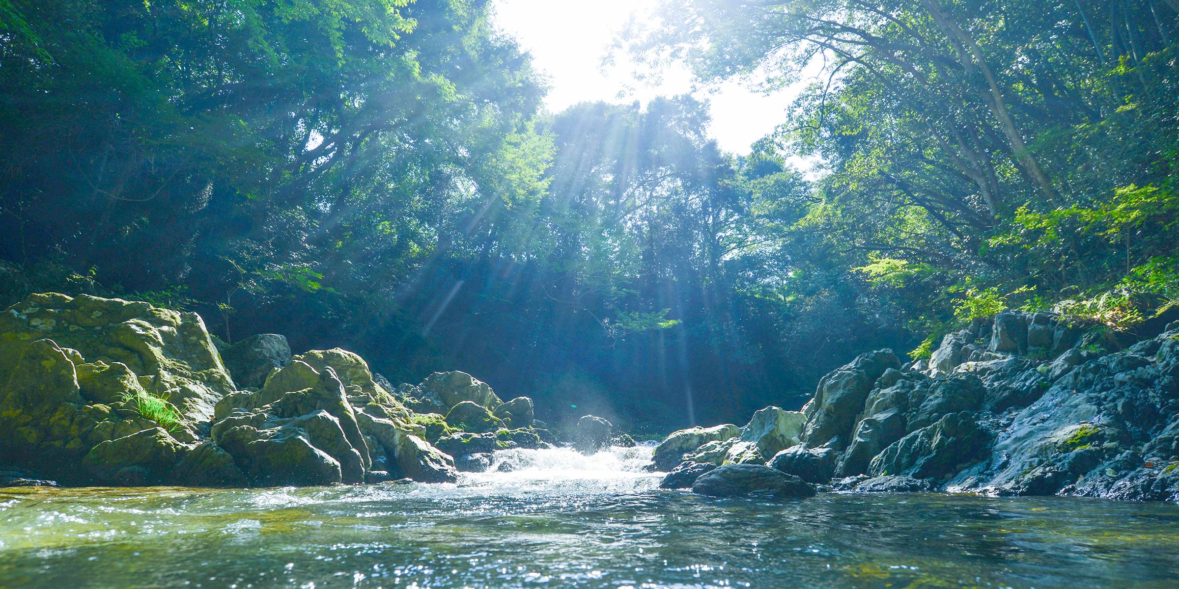 芝田建築デザイン